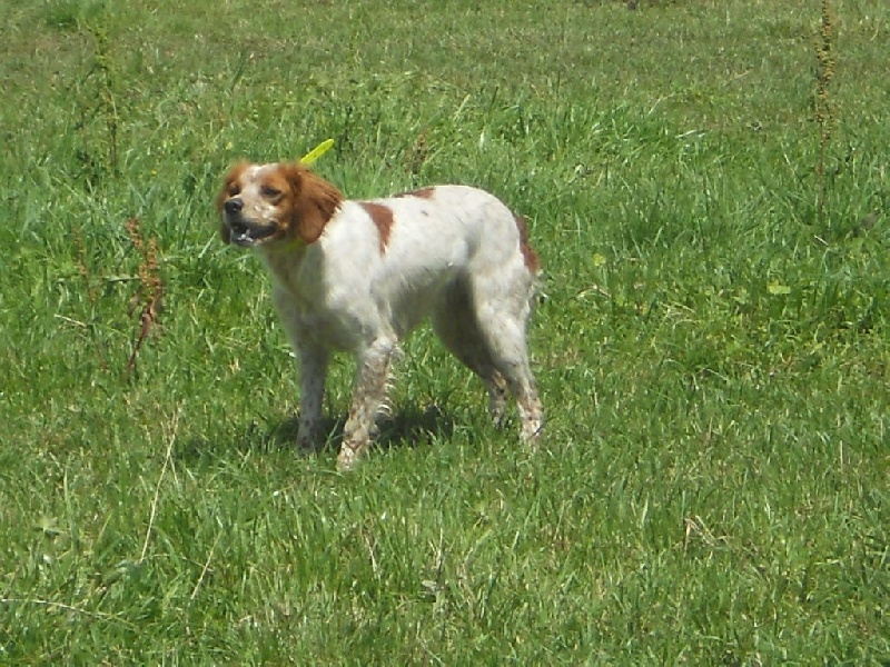 Frida De La Bruyère Des Varrats